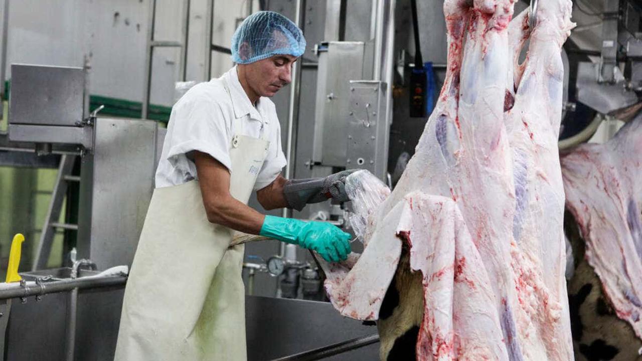 Neuer Tarifvertrag für den niederländischen Fleischsektor