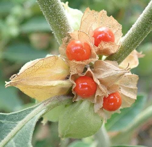 Graph Neural Networks All News Pictures Videos Opera News