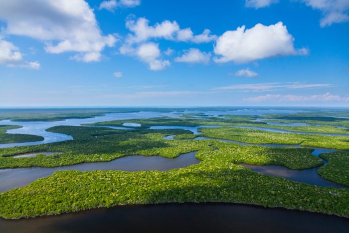 UN Climate Report Highlights Importance of Everglades Restoration