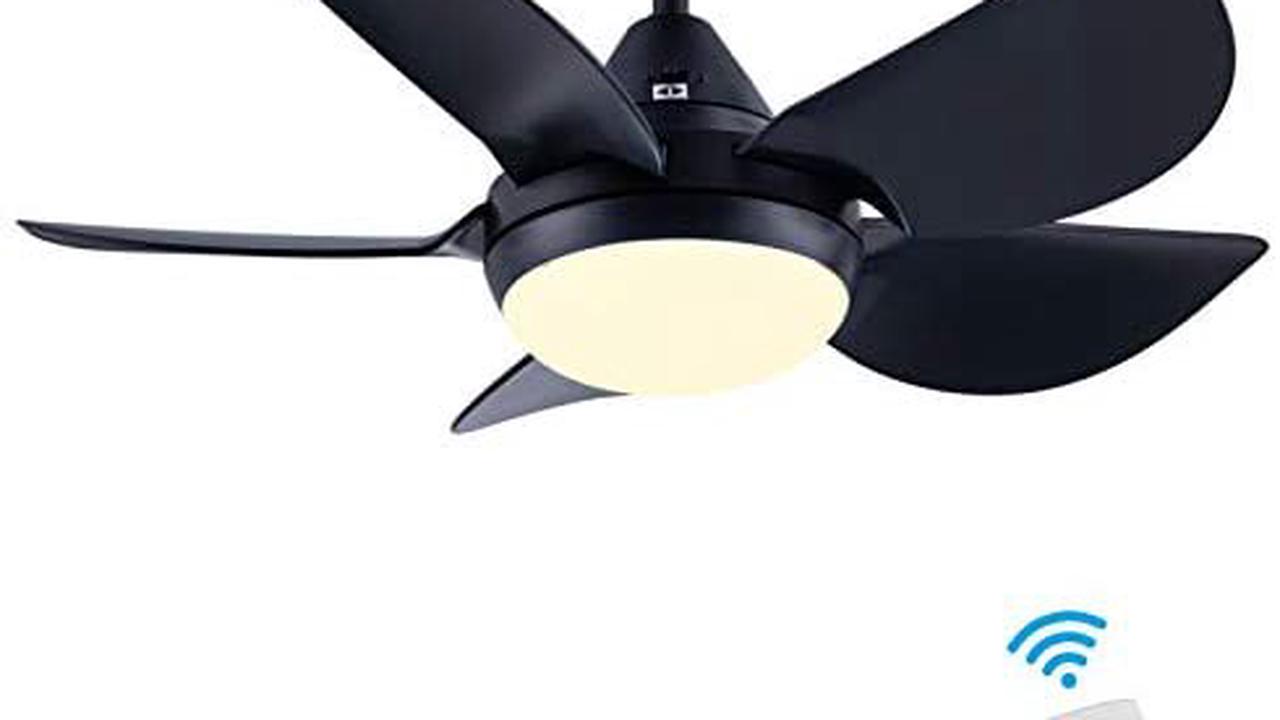 Top 10 Best 30 Inch Ceiling Fan Reviews Opera News Top 10 Best 30 Inch Ceiling Fan Reviews Opera News