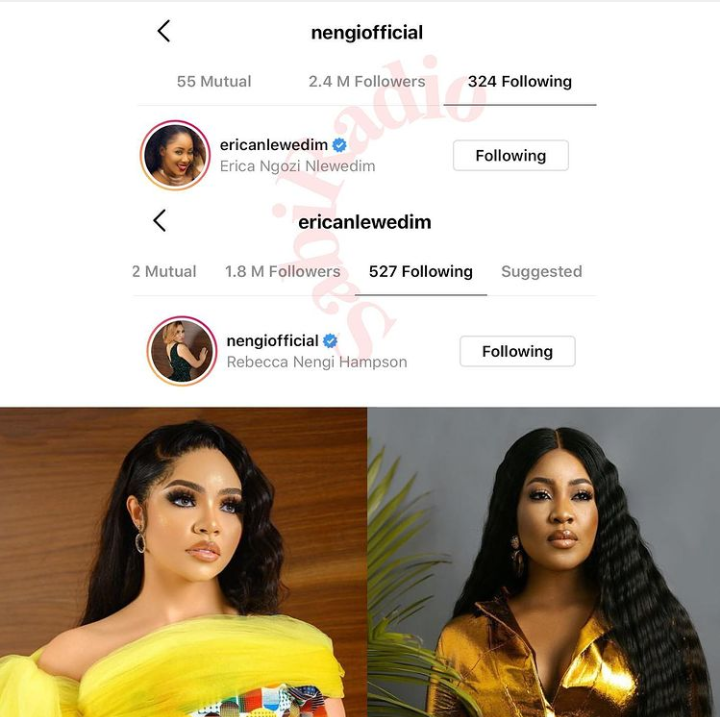 Nengi and Erica follows each other on Instagram