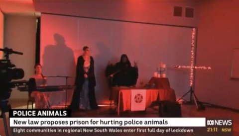 Abc News Accidentally Broadcasts Satanic Ritual Clip During Live Broadcast Opera News