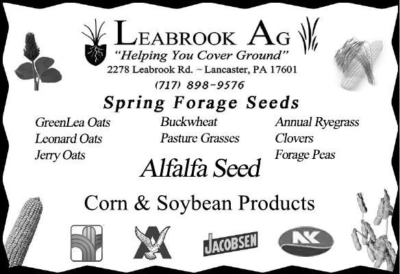 Spring Forage Seeds Opera News
