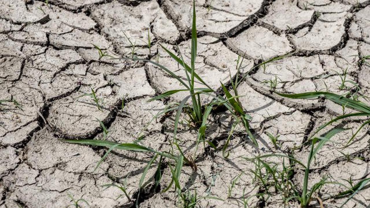 « On n’a même plus le temps de relever la tête » : face au dérèglement du climat et à l’inflation, l’aggravation de la détresse des agriculteurs inquiète
