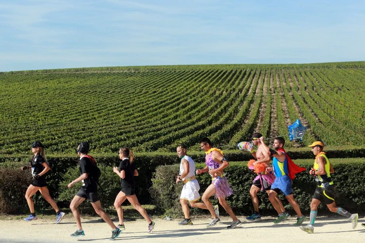 Athletes run past vineyards near Pauillac, during the Marathon du Medoc.