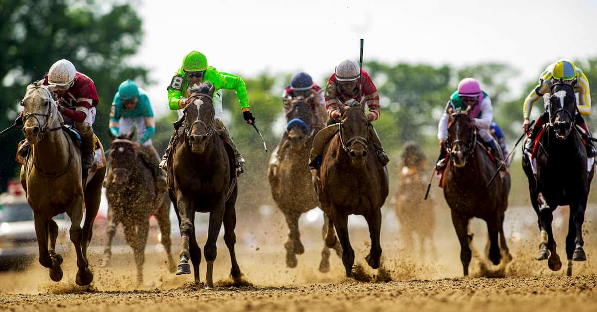 Gulfstream park odds attheraces