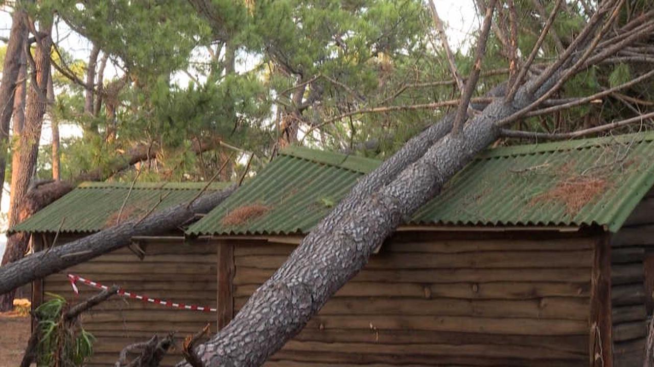 En Corse, les terribles dégâts des rafales de vent dans un camping de Calvi, désormais évacué