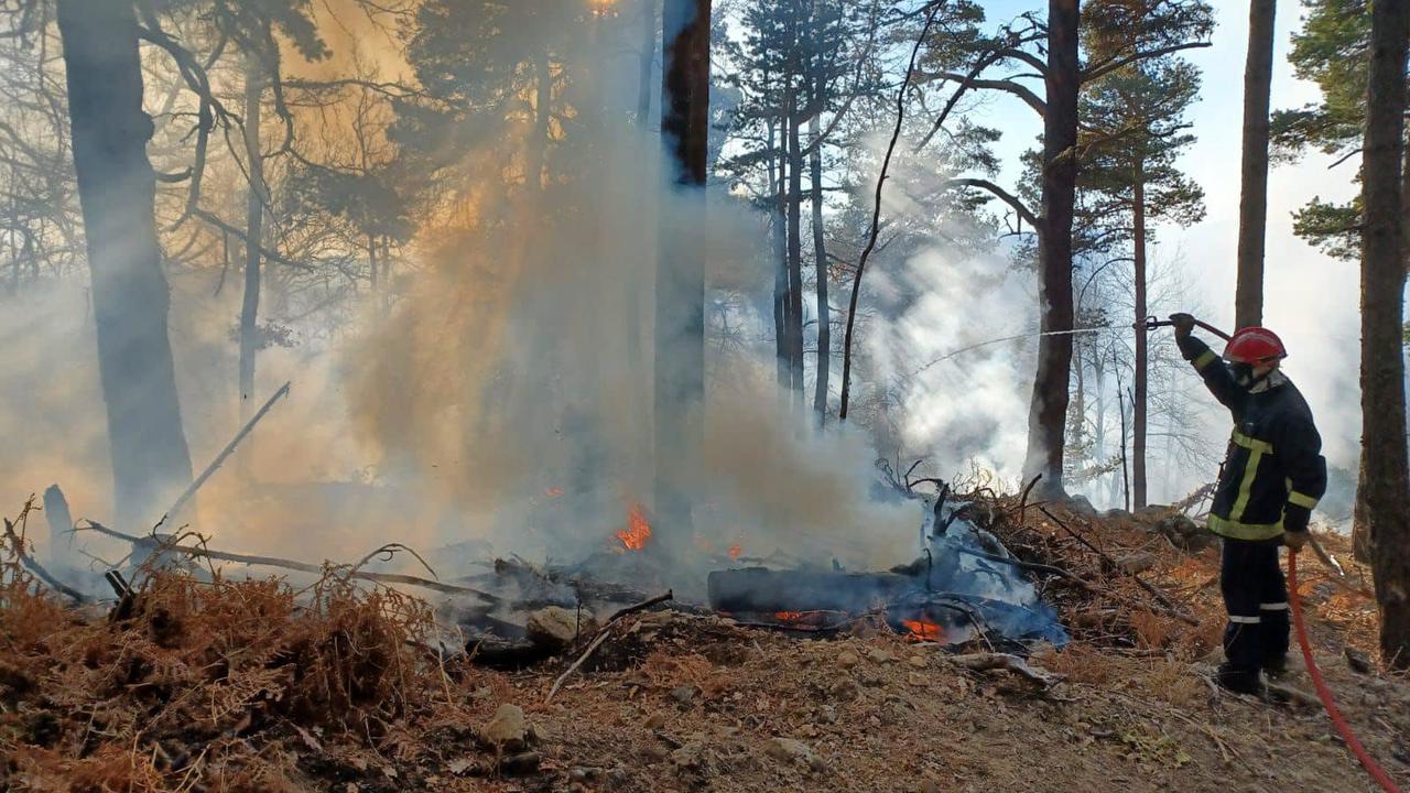 Feux de forêt : 38 hectares ravagés par les flammes