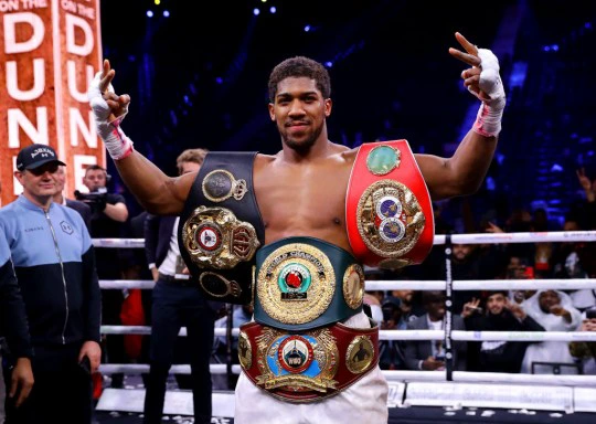 Anthony Joshua won back his titles with his victory over Andy Ruiz