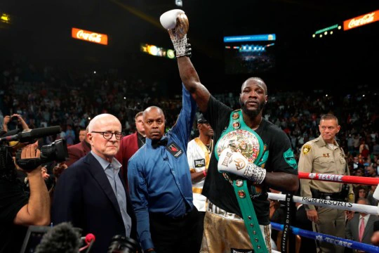 Deontay Wilder remained undefeated after beating Luis Ortiz last month