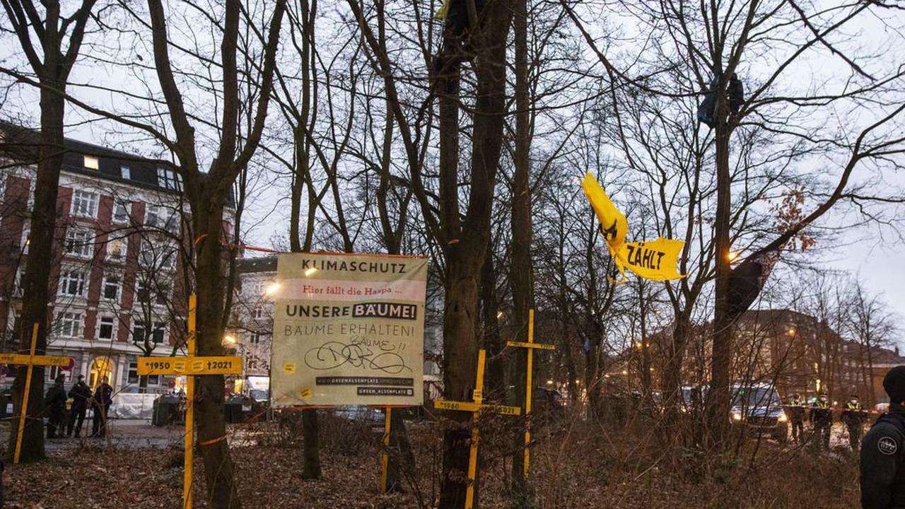 Aktivisten besetzen Bäume in Altona gegen geplante Fällung