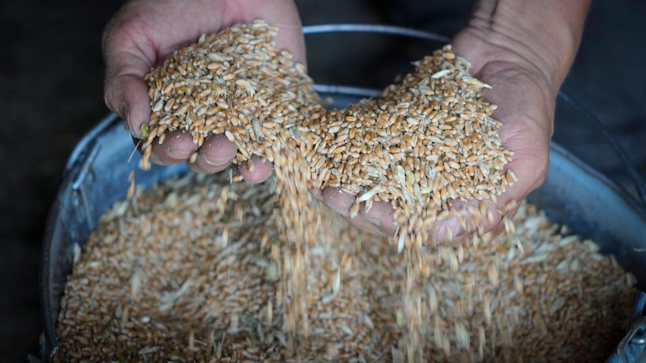 Ukraines Getreideexporte vor dem Neustart