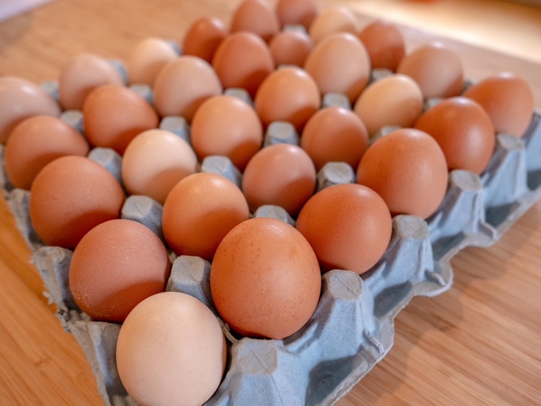 Egg contains high amount of protein that impacts growth [iStock]