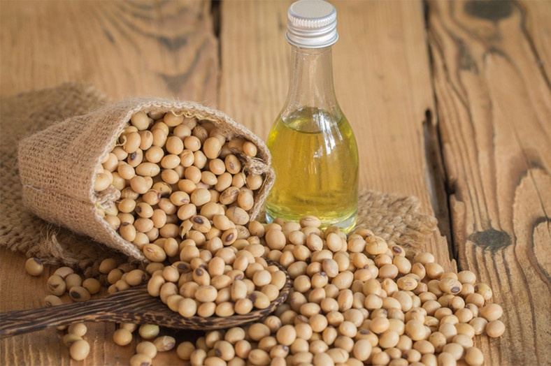 Soybeans an excellent protein source which improves bone health [Ambergris today]
