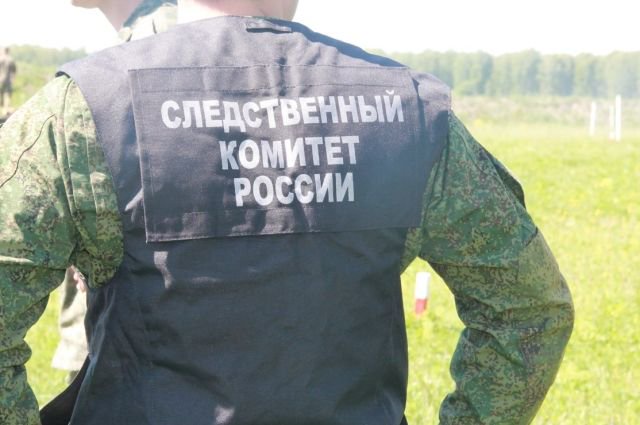 Трум Трум Новые Серии 2022 Года Беременные