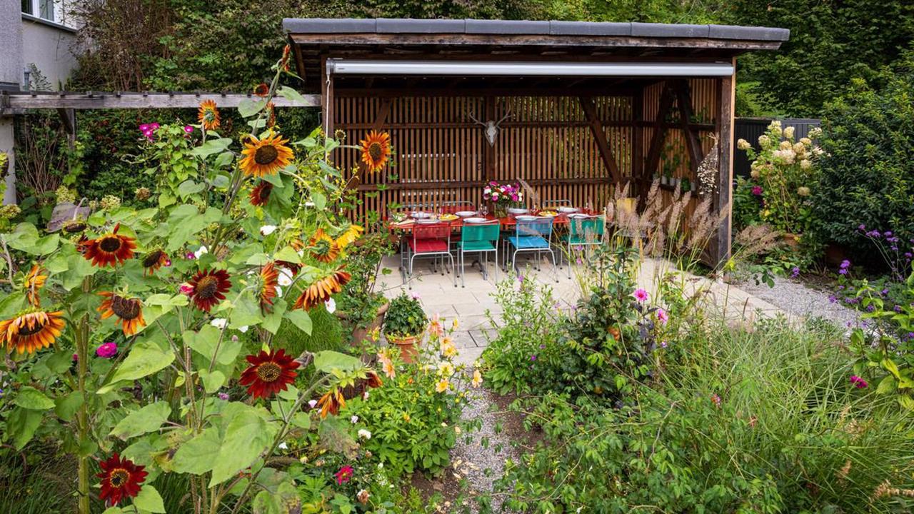 Gartentipp für den Sommer – Kapuzinerkresse, Ringelblumen, Zinnien – Sommerblumen bereichern den Garten