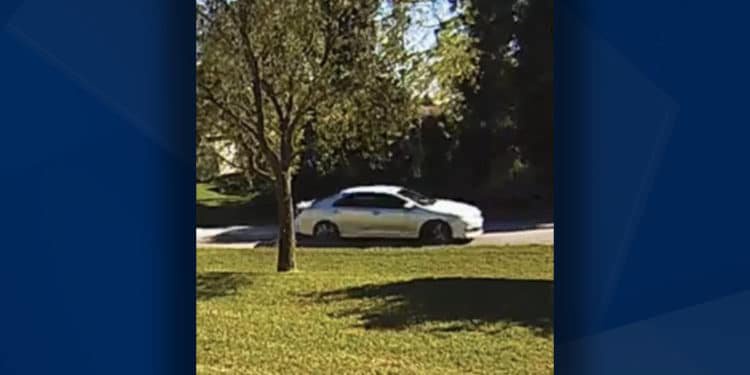 Image result for burglars using bushes