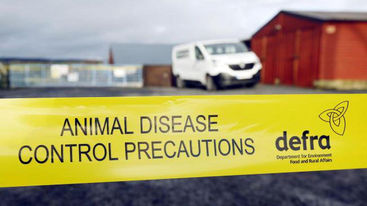 Bird flu confirmed in Herefordshire for third time with huge new control zones