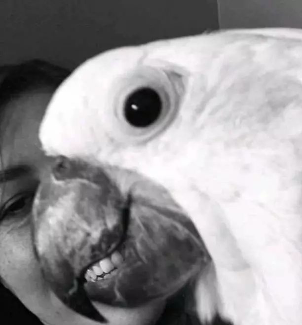 d1f3710d78f99eefad036dcf3cc01c8d?quality=uhq&format=webp&resize=720&watermark=true