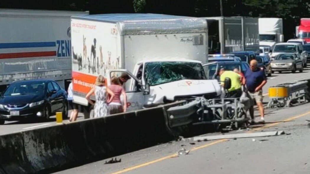 Driver Severely Injured 3 Animals Killed In Aspca Transport Van Crash Opera News