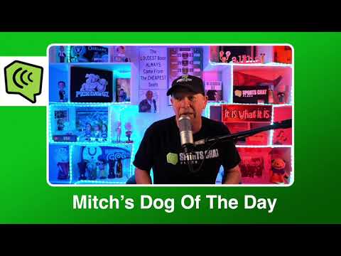 Kristen Bell Reacts To Her Depiction In Dax Shepard S Sexed Up Van Mural Opera News