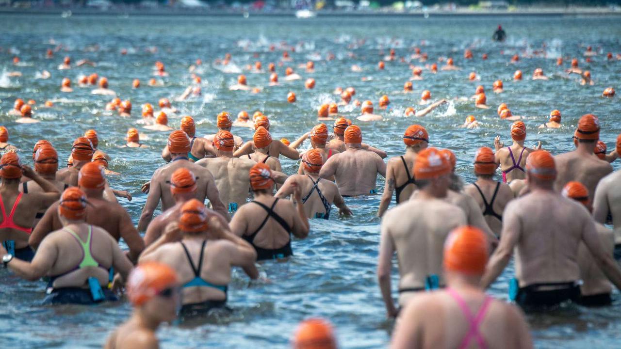 Knapp 1000 Starter beim Sundschwimmen zwischen Rügen und Stralsund
