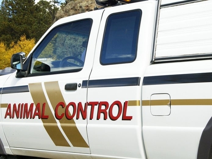 Village Approves Hike In Citation Fees For Calling Animal Control Opera News