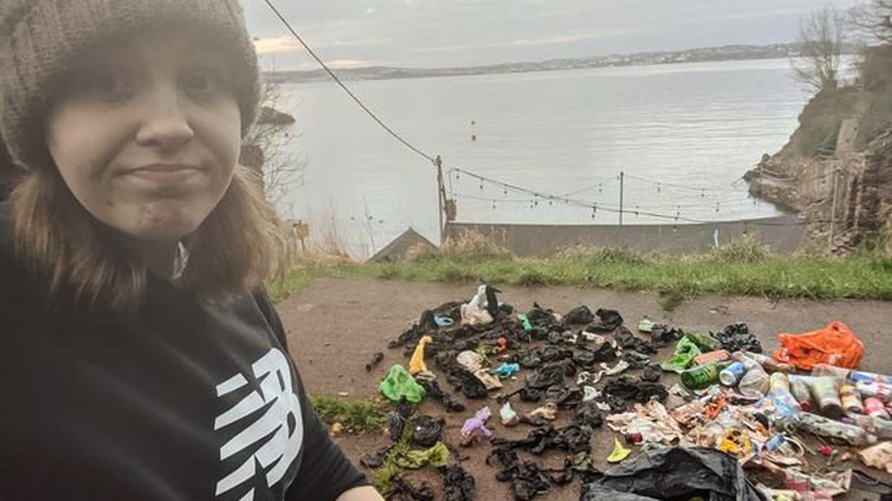 Fury as dog waste bags left at Devon beauty spots