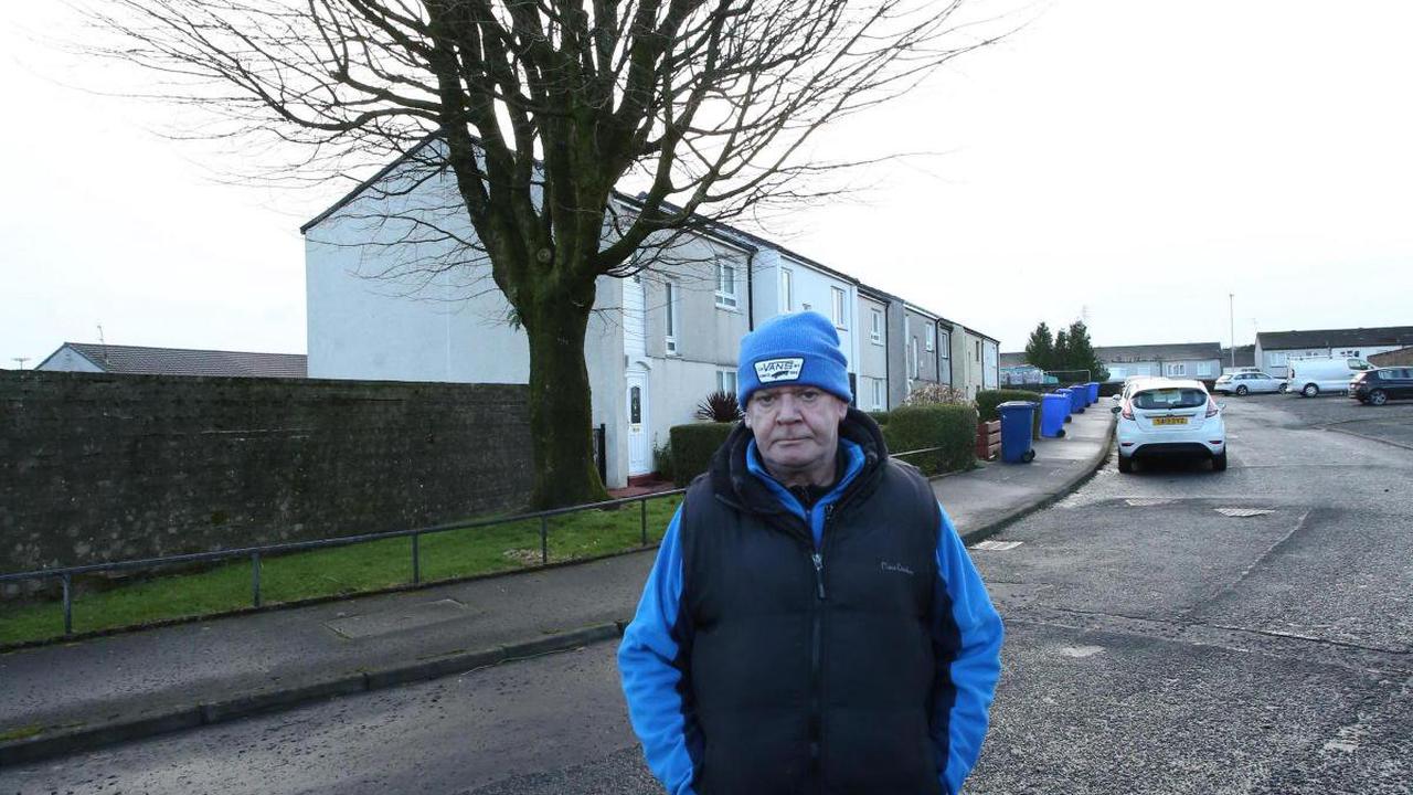 Port Glasgow man fears 'dangerous' tree could topple on to his home