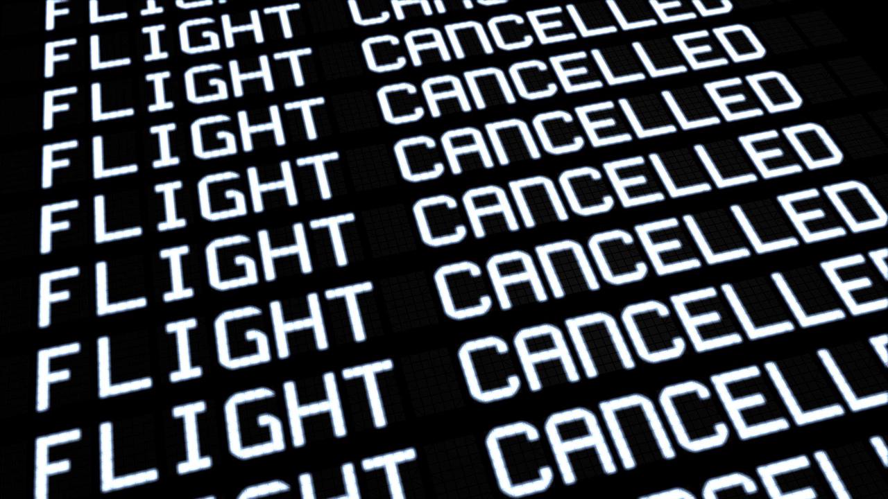 Chaos an Flughäfen Lemke fordert Airlines zu Erfüllung von Ansprüchen der Passagiere auf