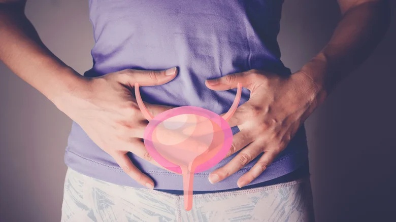Not the Heart or Brain: Scientists Say the Bladder Can Quietly Reflect Good Health