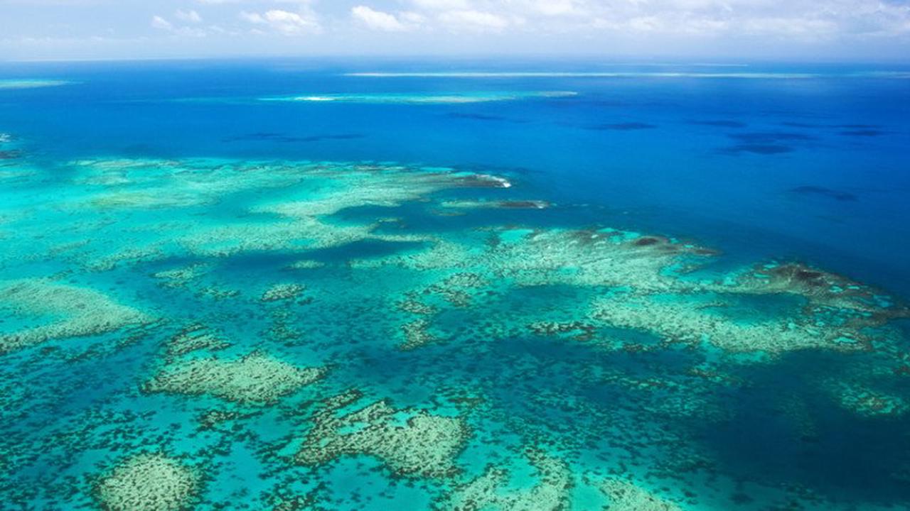 Protection de la Grande barrière de corail : l'Australie prévoit une enveloppe de 700 millions de dollars