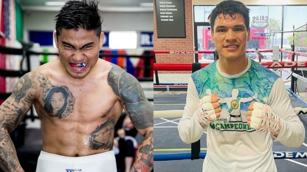 When Is The Youtube Vs Tiktok Fight Here S What Time The Boxing Match Is On In Your Country Opera News