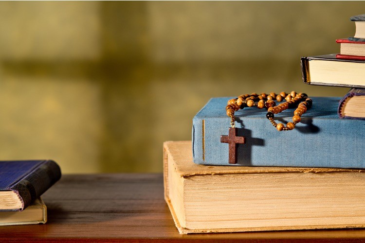 Good News A Hero Dog A Hero Kid And A 16 Drop In New Covid 19 Cases Opera News