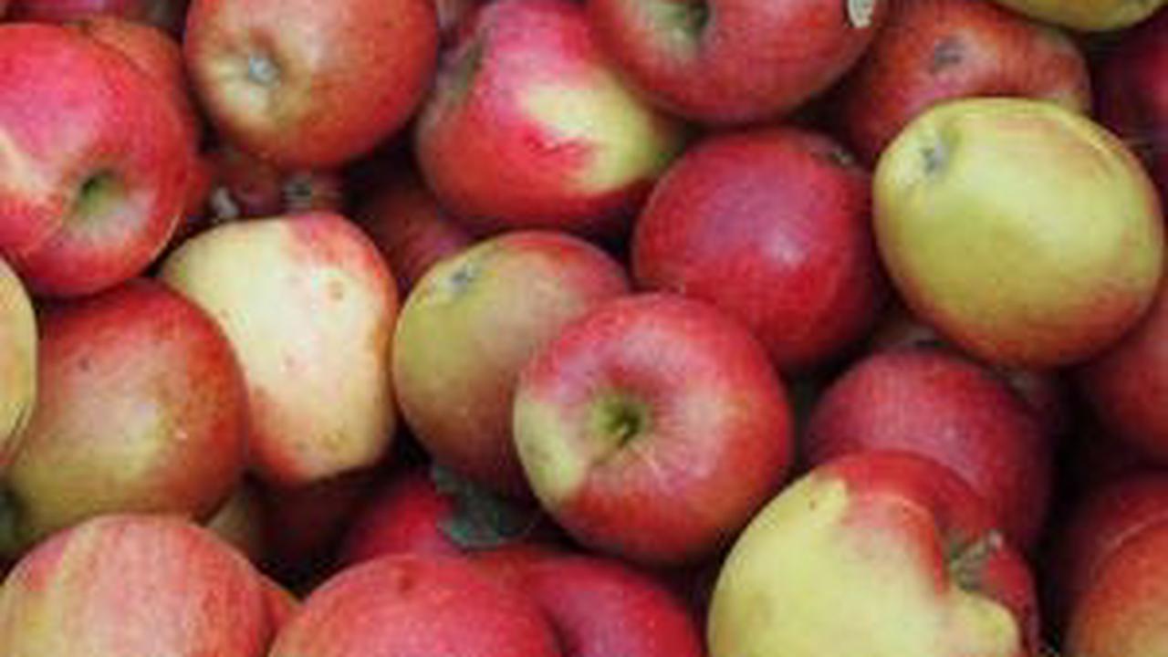 Globale Apfel- und Birnenproduktion auf Rekordniveau