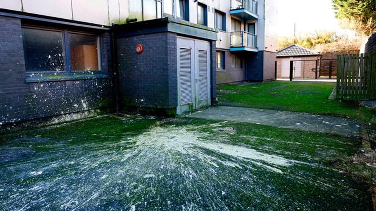 Blood in the lifts, drug users in the stairwells and human faeces and needles at the entrance: Life in a Swansea block of flats