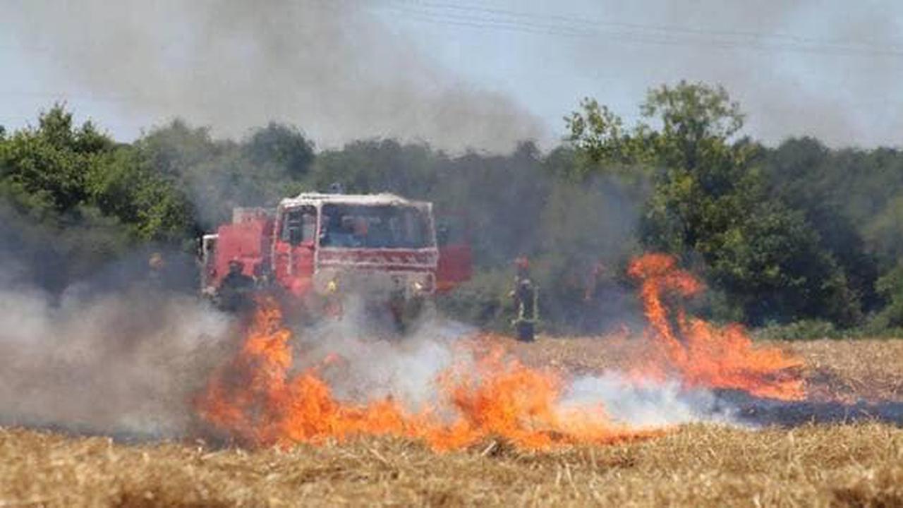 Mercredi soir, pompiers et agriculteurs ont lutté ensemble contre le feu à Ruffigné