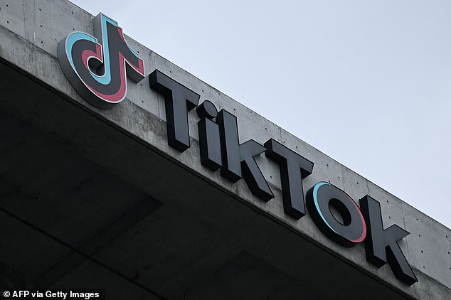 Which countries have banned TikTok and why? UK, US and EU laws ...