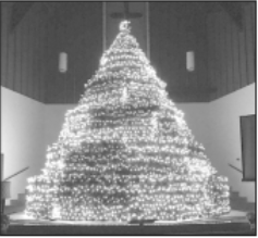 First Baptist Living Christmas Tree 2022 Living Christmas Tree Returns To Maryville's First Baptist Church - Opera  News