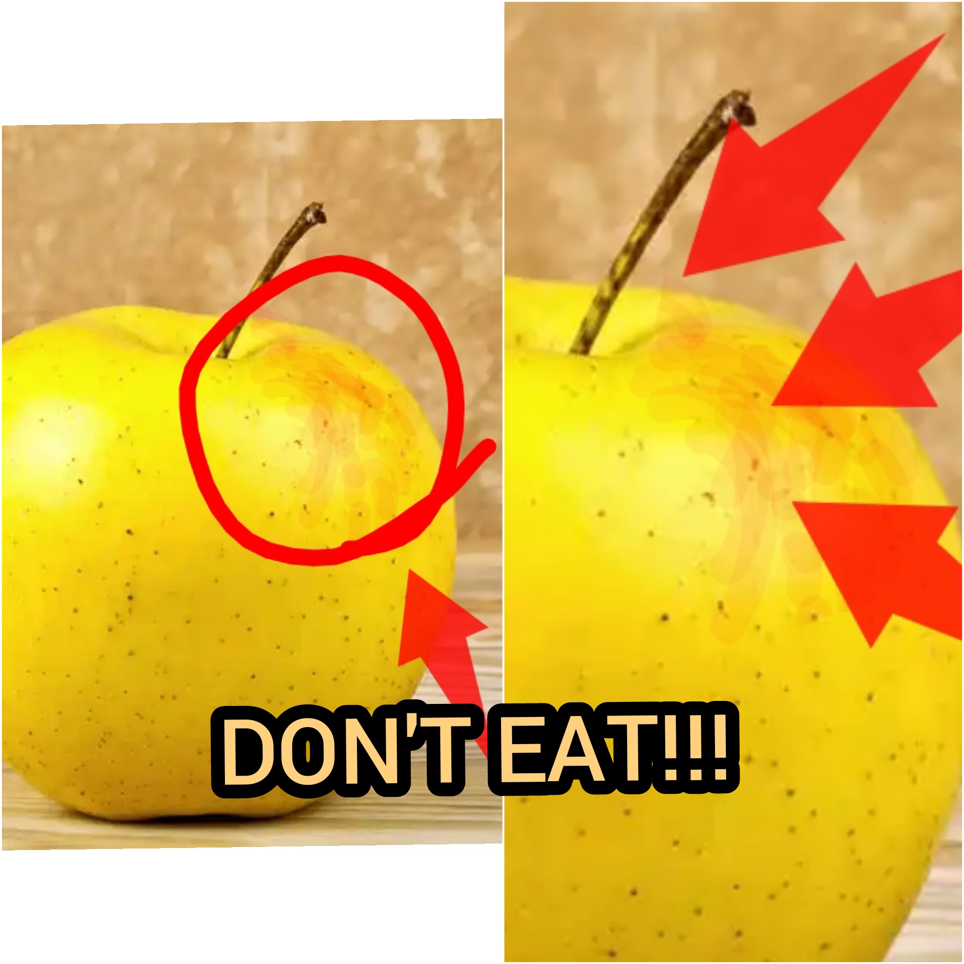 Taken fighting style