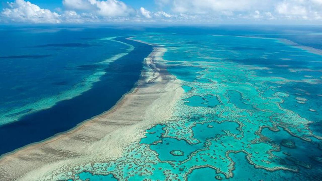 SO will Australien das Great Barrier Reef retten!