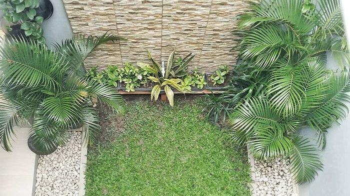 Taman Indoor Inspiratif Di Rumah Mungil Yuk Intip Desain