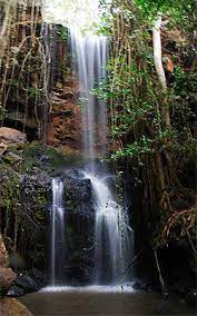 Paradise Lost Nairobi Picnic Site | Camping | 1 Day Trip | Kenya