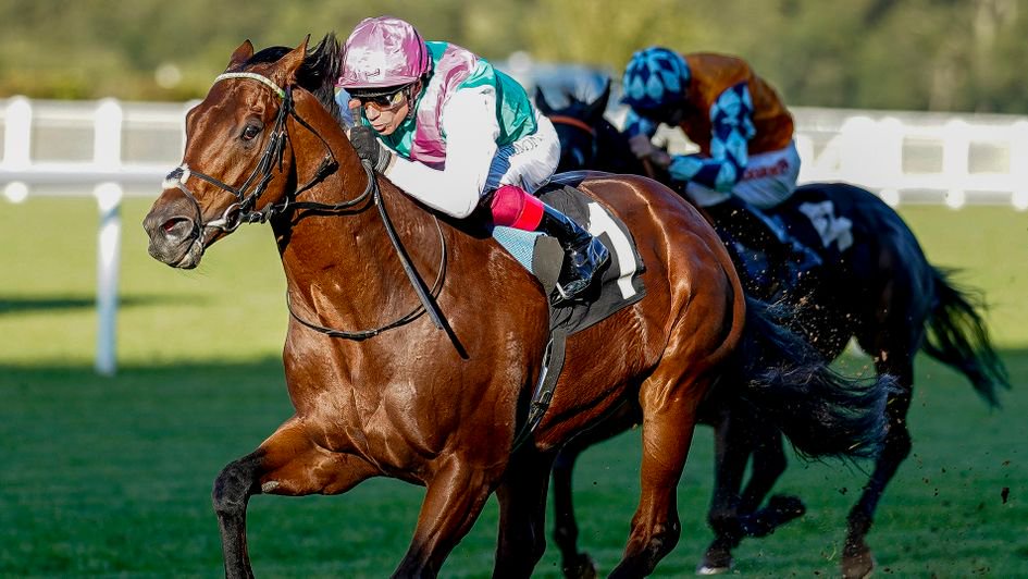 Balmoral Handicap Preview Tips And Trainer Thoughts Opera News