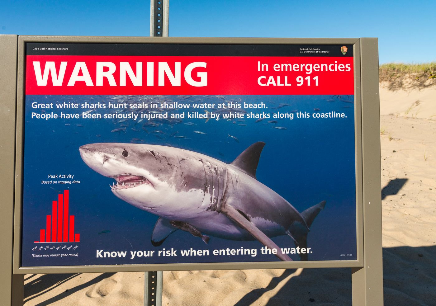 Wiseguys Presale Passwords Dillon Francis X Yung Gravy Sugar Spice And Everything Ice Tours Event In Raleigh Nc Feb 16 22 Presale Code Opera News