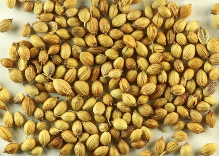 यदि आप भी चाहते है अपने पेट की चर्बी को कम करना तो करे इस ड्रिंक्स का सेवन यदि आप भी चाहते है अपने पेट की चर्बी को कम करना तो करे इस ड्रिंक्स का सेवन