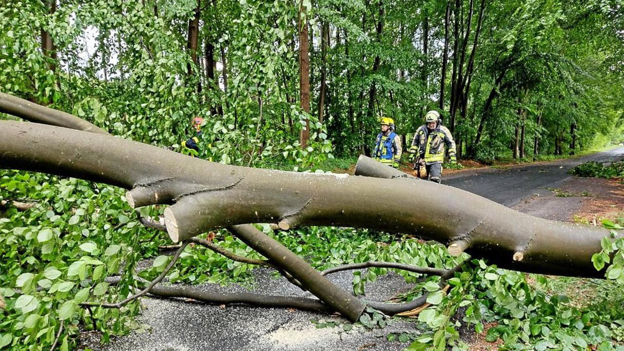 Umgestürzte Bäume wurden in Dinslaken und Hünxe beseitigt