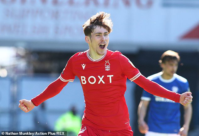 Meet The Wandering Meatloaf Mollusk It S Teeth Are Made From A Rare Iron Researchers Say Opera News