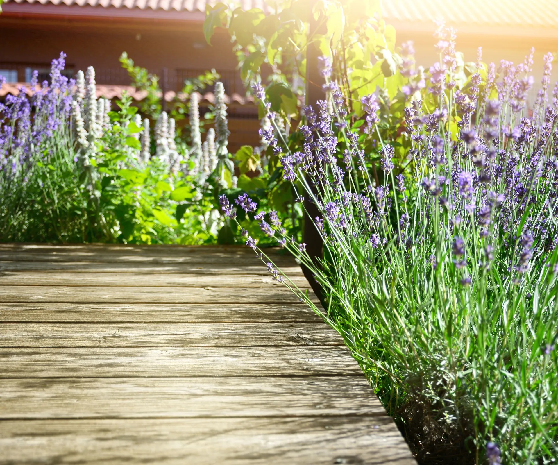 Is Vinegar Safe for Deck Cleaning? Experts Explain What Works Better
