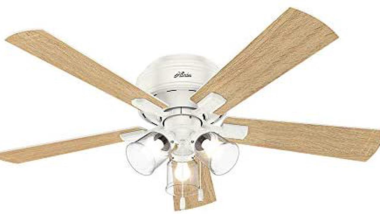 Top 10 Best Hunter Crown Canyon 52 In Indoor Regal Bronze Ceiling Fan Reviews Opera News Top 10 Best Hunter Crown Canyon 52 In Indoor Regal Bronze Ceiling Fan Reviews Opera News